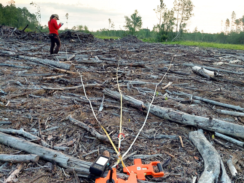 Woody debris for wood pellet feedstock