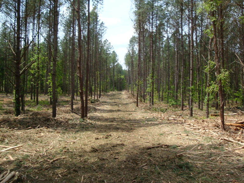Pellet feedstock