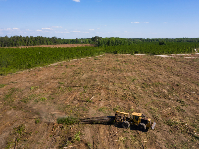 Forest Harvesting and Logging
