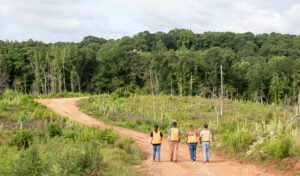 Forestry students in clearcut